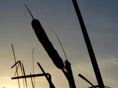 Un Cours en Miracles